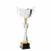 Premium cup Ivan