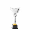Premium cup Ivan
