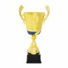 Premium cup Igor