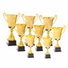 Premium cup Igor