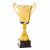 Premium cup Igor