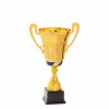 Premium cup Igor