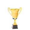 Premium cup Igor