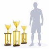 Column trophy Lomnic C