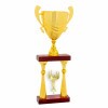 Column trophy Jiehkkevárri