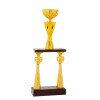Column trophy Kerinci