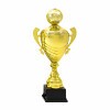 Football cup Fernando