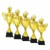 Football cup Fernando