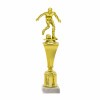 Football cup Hemanes