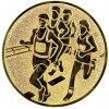 Running (marathon) medal insert