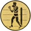 Boxing medal insert