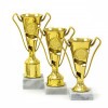 Economy cup 05