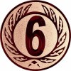 6th place medal insert