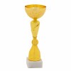 Economy cup 17