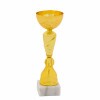 Economy cup 17