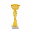 Economy cup 17