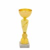 Economy cup 17