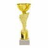 Economy cup 20