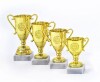 Economy cup 73