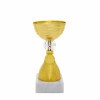 Economy cup 95