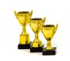 Economy cup 61