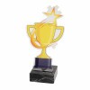 Star cup acrylic award