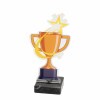 Star cup acrylic award