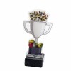 Tell Cards acrylic award
