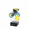 Bicycle acrylic award