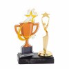 Star cup acrylic award with figure
