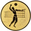 Volleyball (men) medal insert