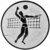 Volleyball (men) medal insert