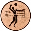Volleyball (men) medal insert