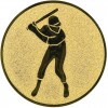 Baseball medal insert