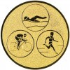 Triathlon medal insert