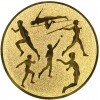 Athletics medal insert