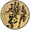 Running (marathon) medal insert