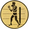 Boxing medal insert