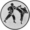 Karate medal insert
