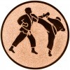 Karate medal insert