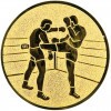 Kickboxing medal insert