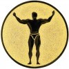 Fitness medal insert