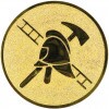 Fitrefighter medal insert