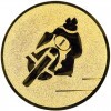 Motorcycle medal insert