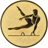 Gymnastics (men) medal insert