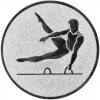 Gymnastics (men) medal insert