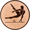 Gymnastics (men) medal insert