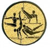 Gymnastics medal insert