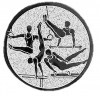 Gymnastics medal insert