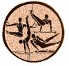 Gymnastics medal insert